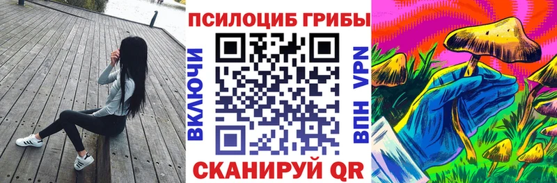 купить наркотики цена Избербаш Псилоцибиновые грибы Psilocybe